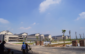 橫瀝職教城電力工程現(xiàn)場